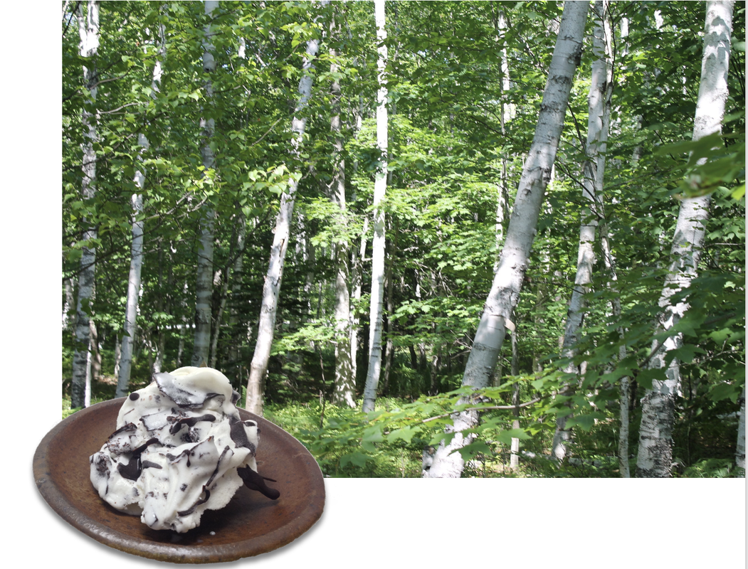 Birch Bark gelato streaked with chocolate stracciatella.