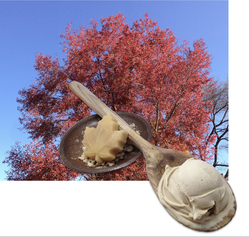 Maple walnut ice cream.