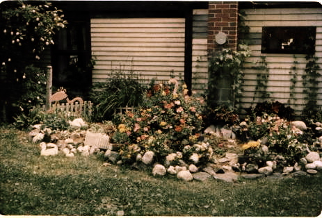 A Maine seaside rock garden in a vintage family photograph.