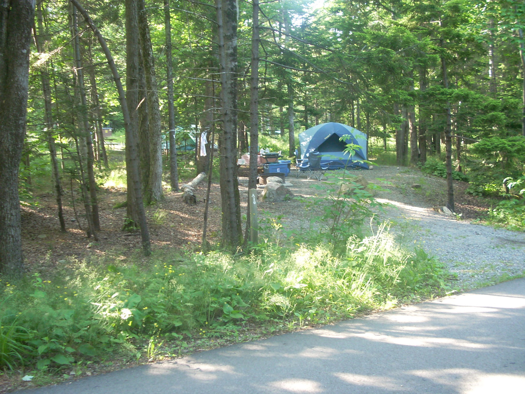 A tent pitched among the pines at a Maine north-woods campground.
